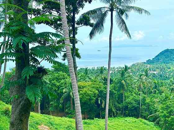 1 bedroom, 1 bathroom house Samui