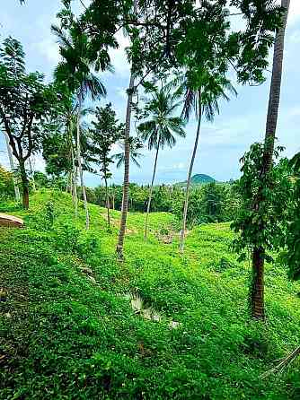 1 bedroom, 1 bathroom house Samui