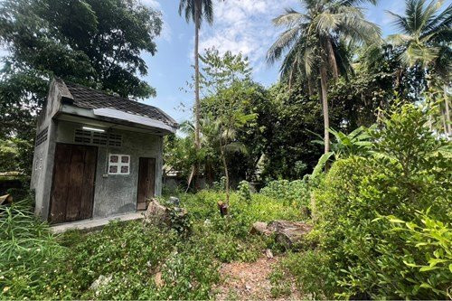 1 Bed 1 Bath - House Samui - photo 5