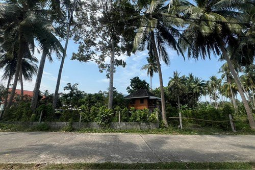 1 Bed 1 Bath - House Samui - photo 10