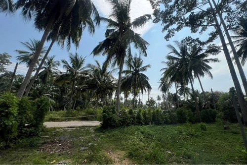 1 Bed 1 Bath - House Samui - photo 6