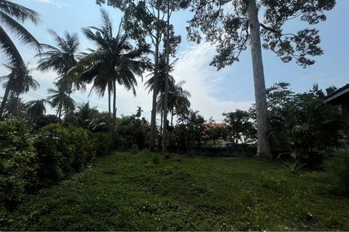 1 Bed 1 Bath - House Samui - photo 8