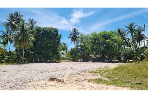 1 Bed 1 Bath Apartment Samui - photo 4