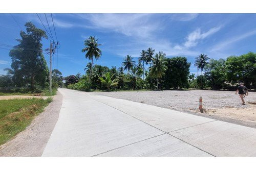 1 Bed 1 Bath Apartment Samui - photo 7