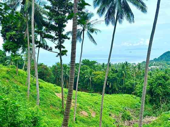 1 bedroom, 1 bathroom house Samui