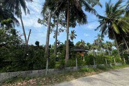 1 Bed 1 Bath - House Samui