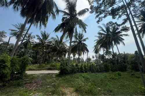 1 Bed 1 Bath - House Samui