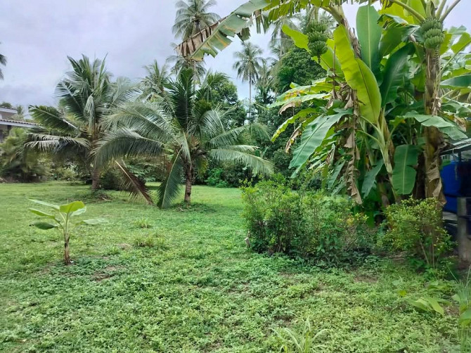 2 bedrooms 2 bathrooms - House Phangan - photo 3