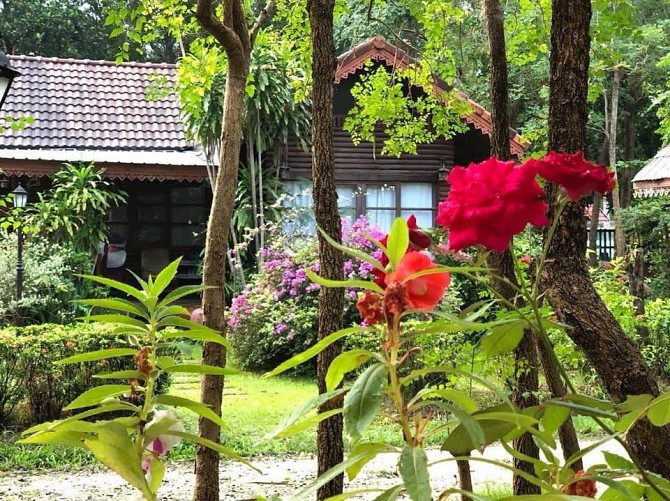 Villa for sale Samui - photo 10