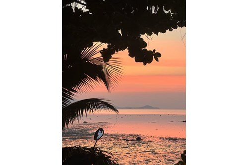 2 Beds 2 Baths House Samui - photo 10