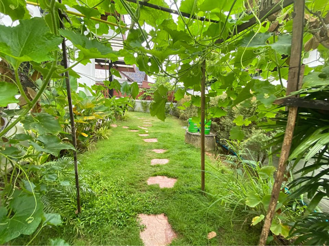 3 bedrooms 2 bathrooms - House Samui - photo 11