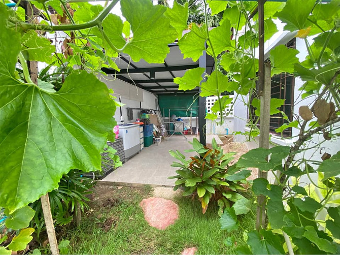 3 bedrooms 2 bathrooms - House Samui - photo 1