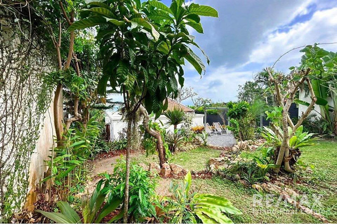 2 bedrooms 1 bathroom - House Samui - photo 4