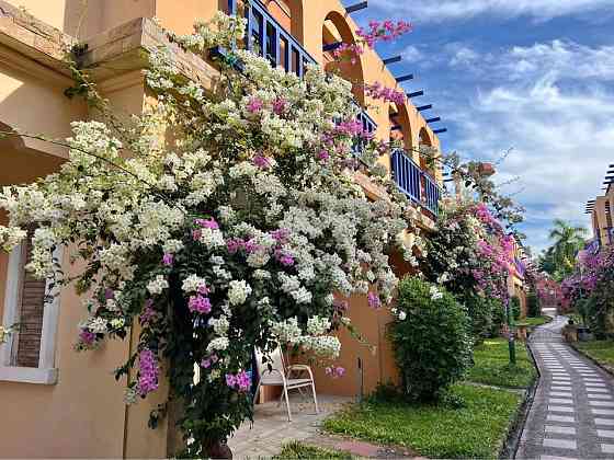 2 Bedrooms 1 Bathroom - Townhouse Pattaya