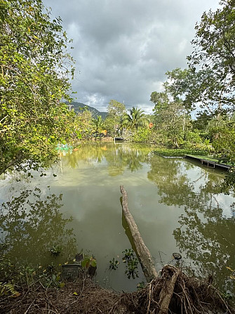 2 Beds 1 Bath House Phangan - photo 7