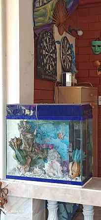 2 Bedrooms, 1 Bathroom - House Pattaya