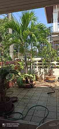 2 Bedrooms, 1 Bathroom - House Pattaya