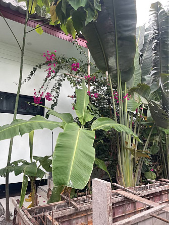 1 Bed 1 Bath - House Phangan - photo 3