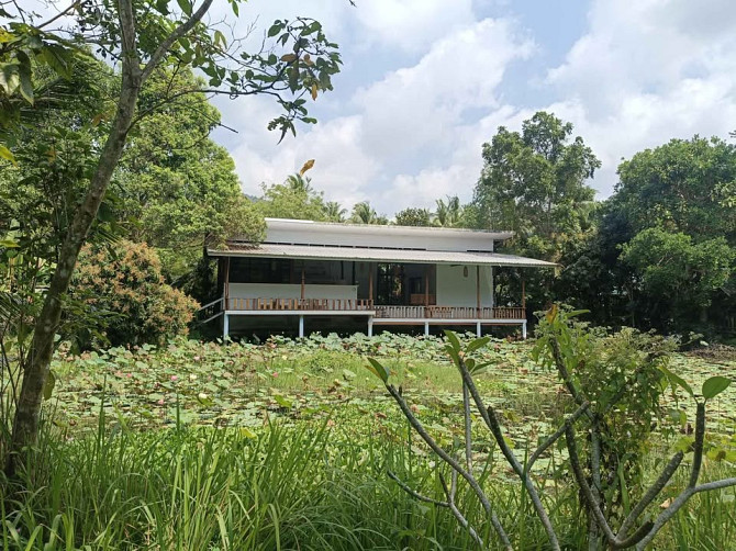 2 Bedrooms, 1 Bathroom - House Phangan - photo 2