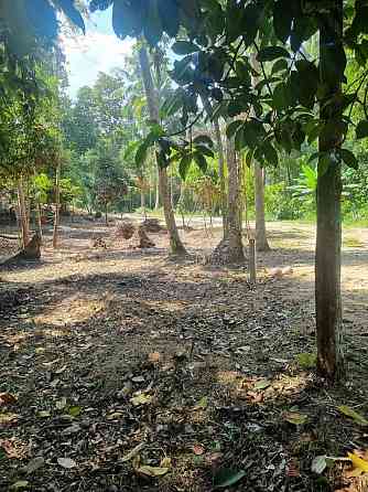 Land For Longterm Rental Phangan