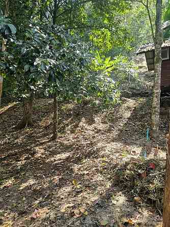 Land For Longterm Rental Phangan