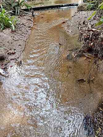Land For Longterm Rental Phangan