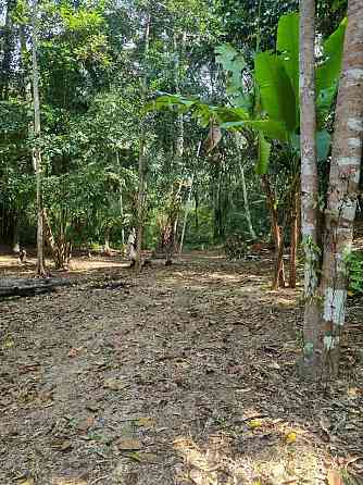 Land For Longterm Rental Phangan