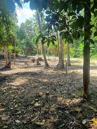 Land For Longterm Rental Phangan - photo 4