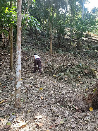 Land For Longterm Rental Phangan - photo 2