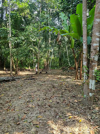 Land For Longterm Rental Phangan - photo 6