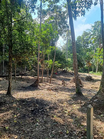 Land For Longterm Rental Phangan - photo 3