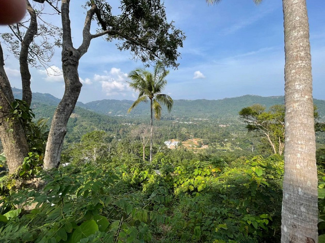 Lamai Land With Unblockable View Samui - photo 8