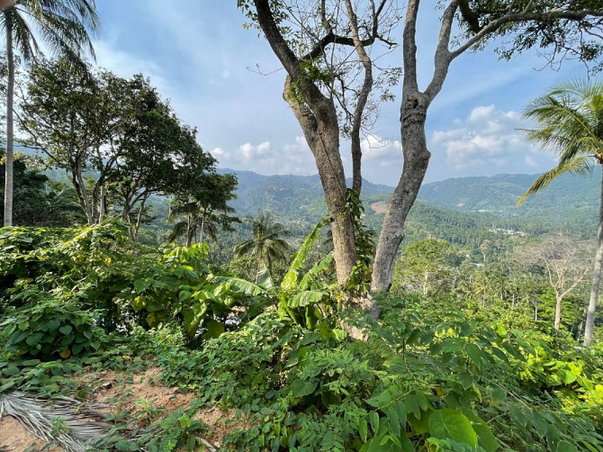 Lamai Land With Unblockable View Samui - photo 9