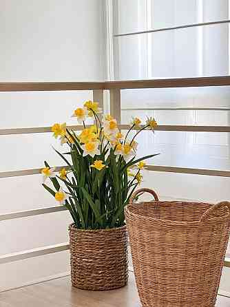 3 Bedrooms, 2 Bathrooms - Home Phuket