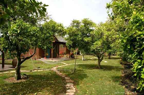 Home One Bedroom 1 Bathrooms Phangan