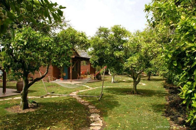 Home One Bedroom 1 Bathrooms Phangan - photo 4