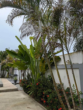 4 Chambres 3 Salles de Bain – Maison Pattaya - photo 12