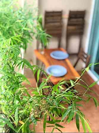1 Bed 1 Bath - Apartment Samui