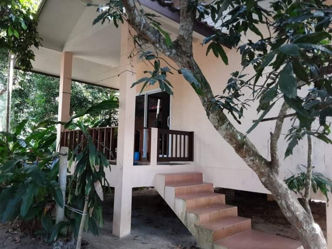 1 Bed 1 Bath - House Phangan - photo 2