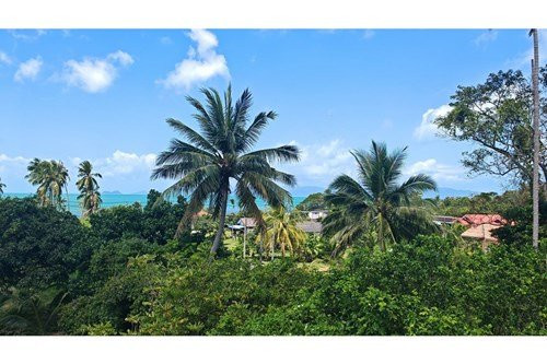 3 Beds 4 Baths House Samui - photo 15