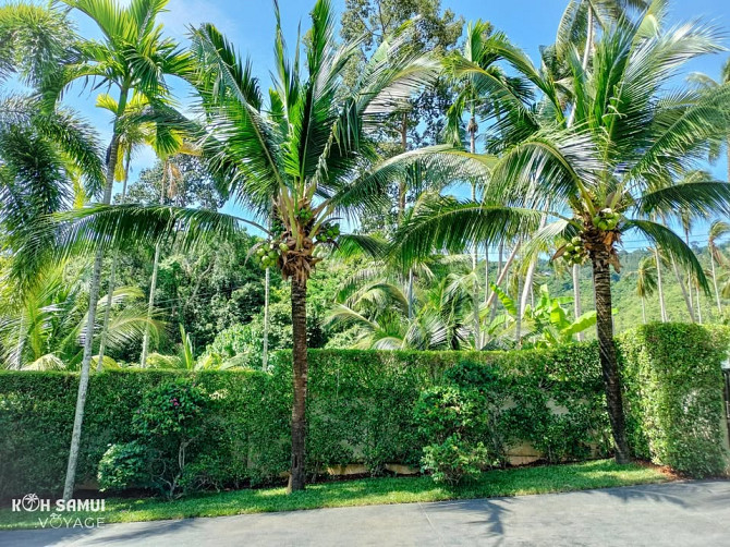 3 bedroom house and 3 bathrooms Samui - photo 8