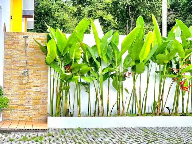 3 beds 2 baths House Samui - photo 5