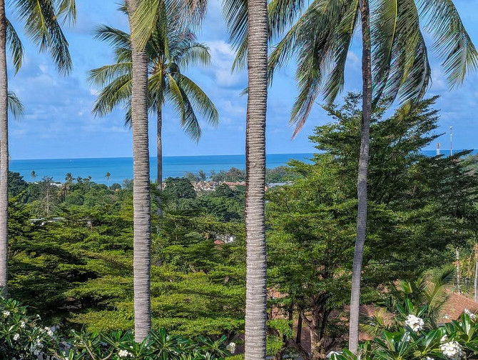 2 beds 3 baths Townhouse Samui - photo 15