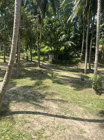 1 bedroom house and 1 bathroom Phangan