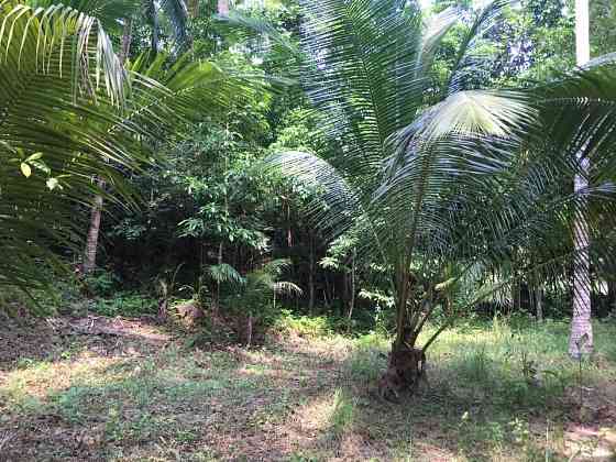 Studio 0 Baths - House Phangan