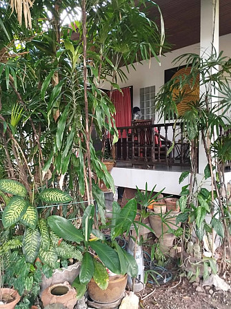 1 Bed 1 Bath - House Samui - photo 2