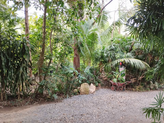 1 Bed 1 Bath - House Samui - photo 3