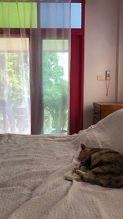 1 Bed 1 Bath - House Phangan - photo 4