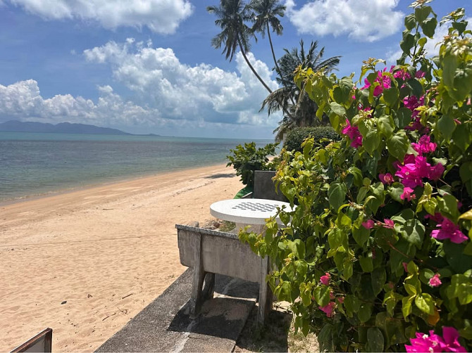 1 bed 1 bathroom – House Samui - photo 6