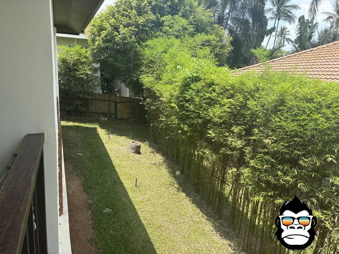3 Beds 2 Baths House Samui - photo 3